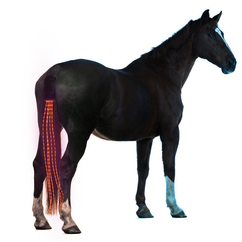 NightRider LED - reflector for your horse