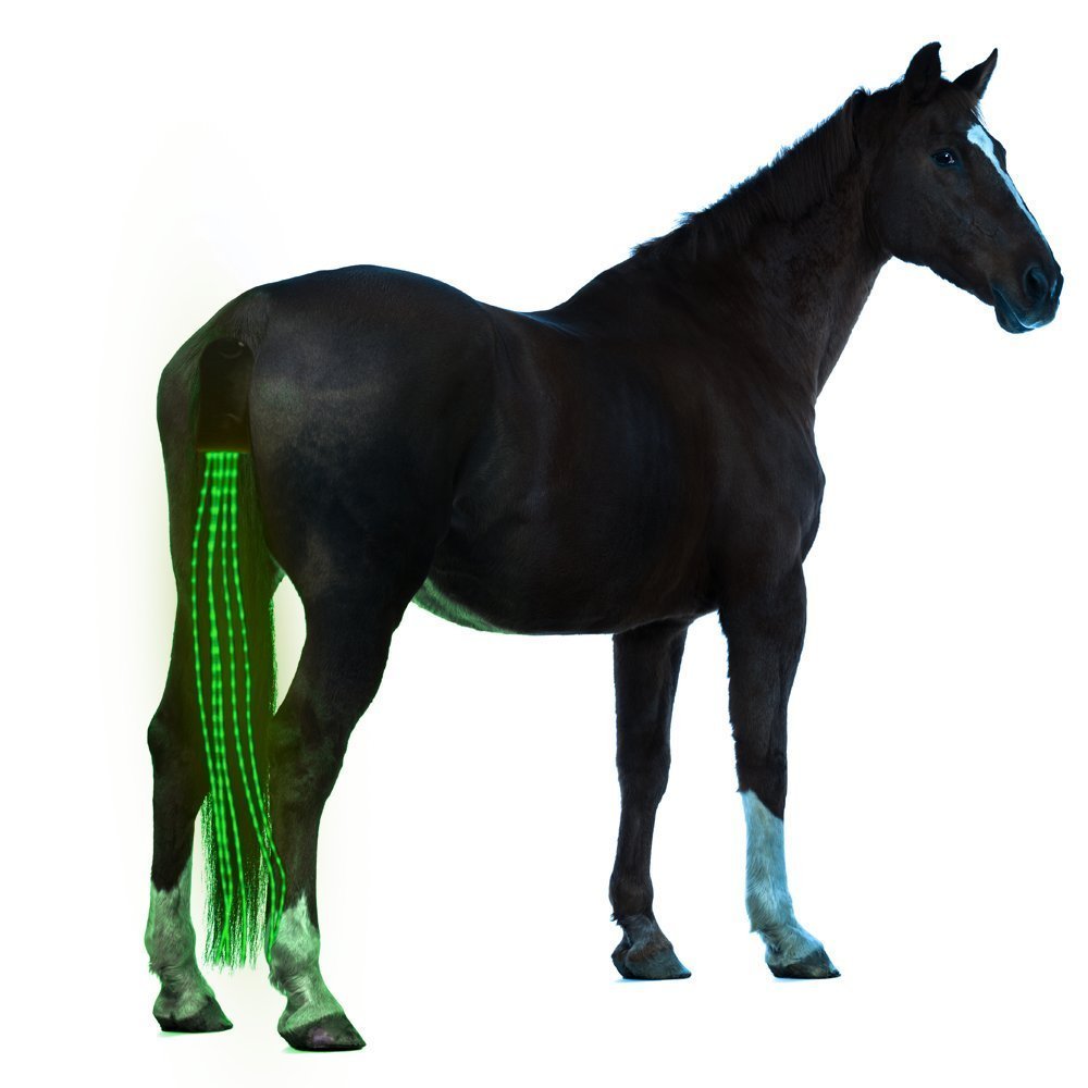 NightRider LED - reflector for your horse