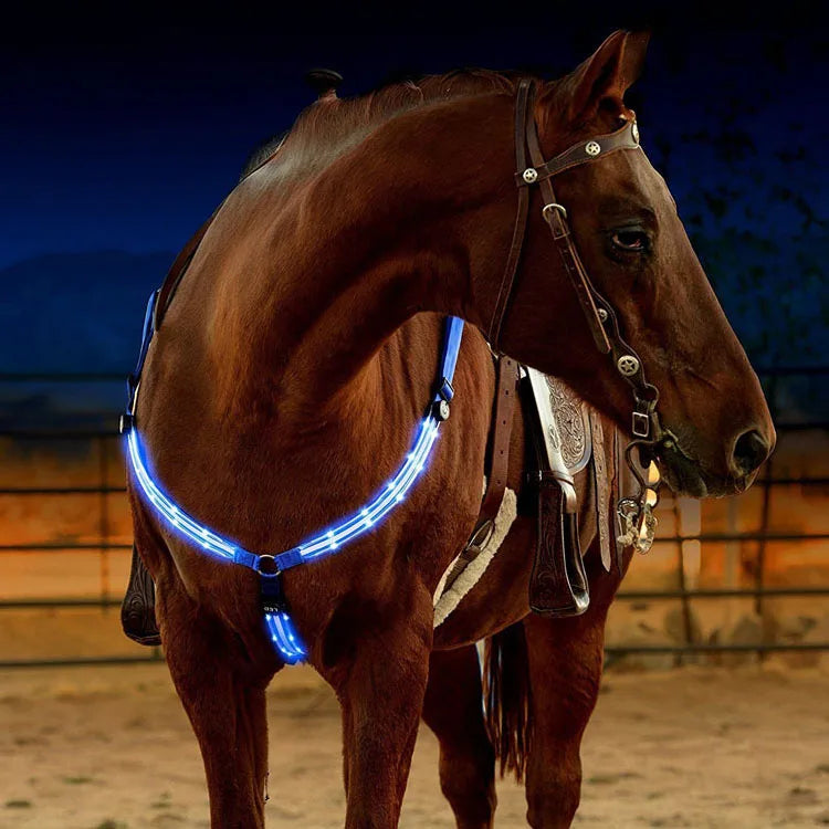 Night Rider – LED Breast Collar – Be Seen & Stay Safe in the Dark with LED