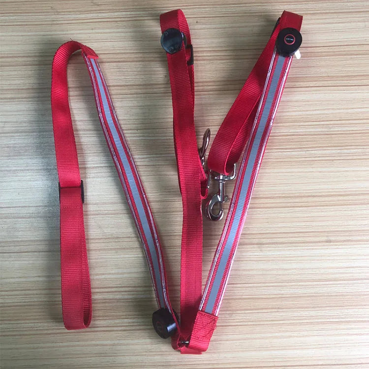 Night Rider – LED Breast Collar – Be Seen & Stay Safe in the Dark with LED