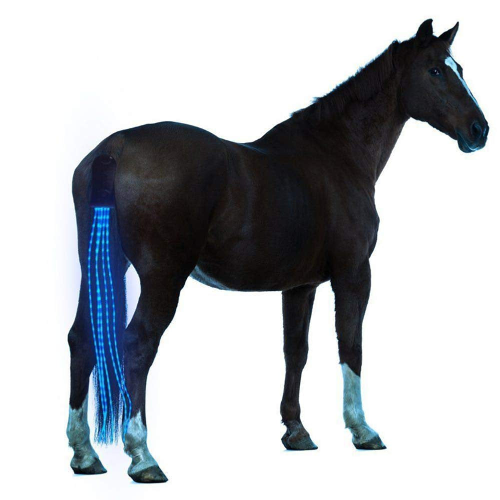 NightRider LED - reflector for your horse