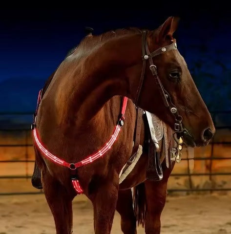 Night Rider – LED Breast Collar – Be Seen & Stay Safe in the Dark with LED